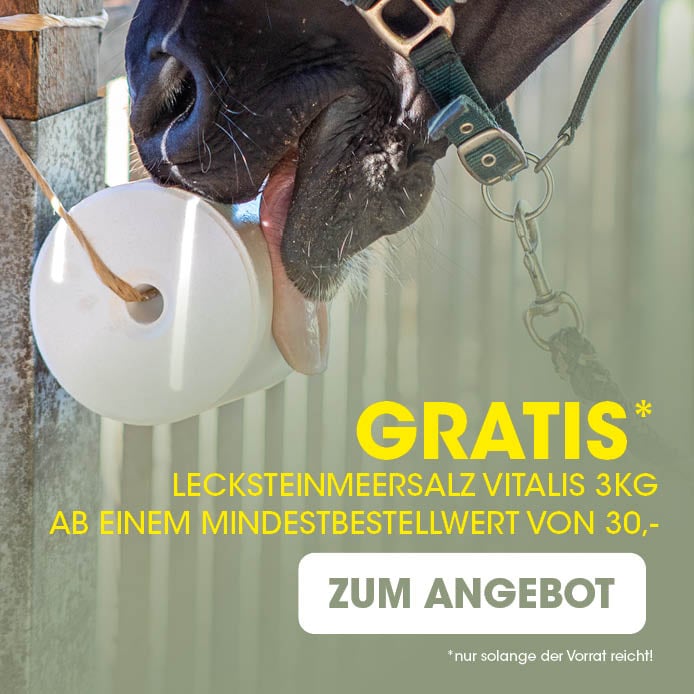 Image-Headline-Text 1